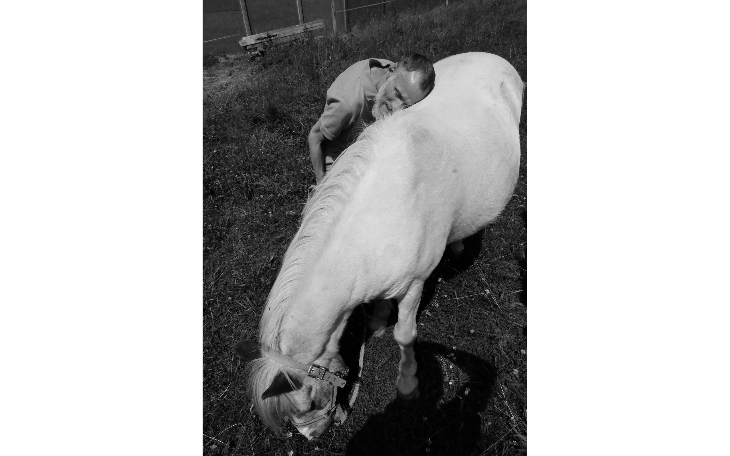Séance d’équithérapie. Joël adore ce cheval qu’il caresse et câline pendant des heures.